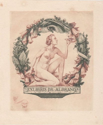 Exlibris bookplate radierung - exlibris,