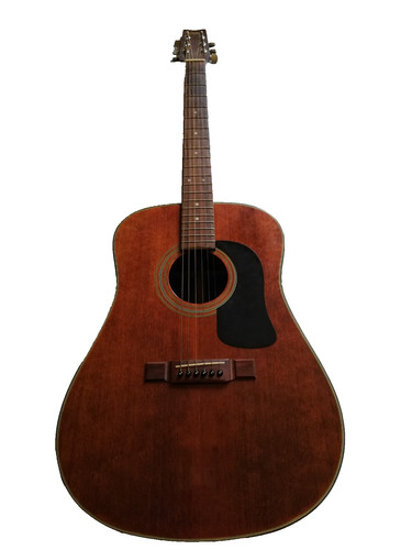 Washburn akustikgitarre - akustikgitarre, /