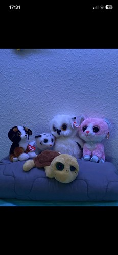 Großer beanie boo bundle - ty,
