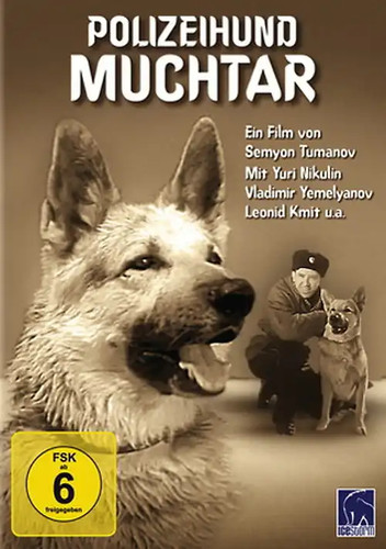 Polizeihund muchtar - polizeihund,