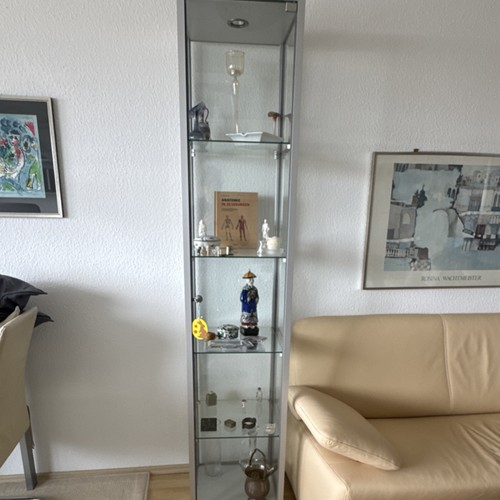 Schmale glasvitrine - schmale,