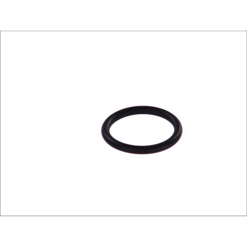 Seal ring radiator cap bolt - seal,