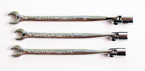 SALTUS