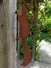Edelrost Eichhörnchen mit