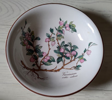 Villeroy & Boch Botanica Vaccinium vitis-idaea Schälchen Schüssel ca. 14cm