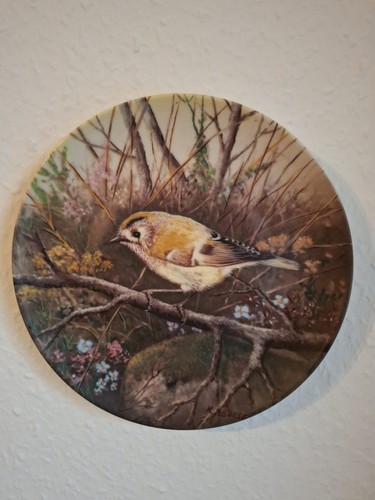 Sammelteller porzellan - sammelteller,