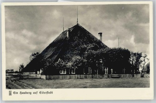 50700888 eiderstedt hauberg - -,