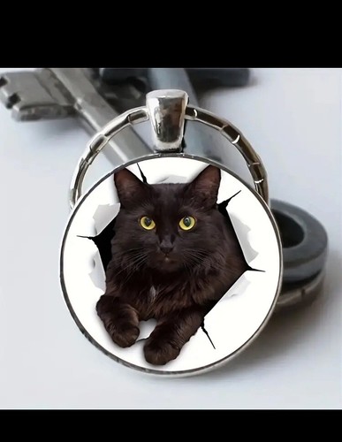 Schwarze katze - schwarze,