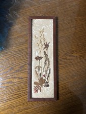 Original herbarium - original,