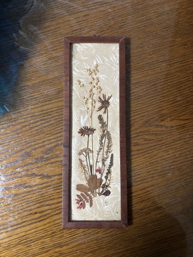 Original herbarium - original,