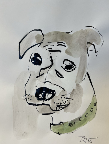 Tuschezeichnung hund din a4 - hund,
