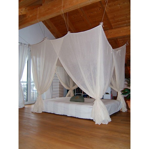 Brettschneider cotton finca - finca,