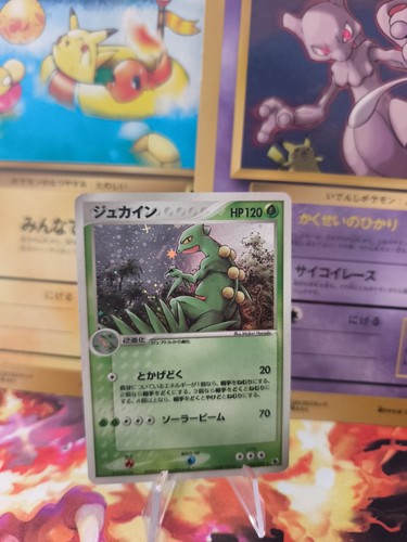 Pokemon karte card holo - pokemon,