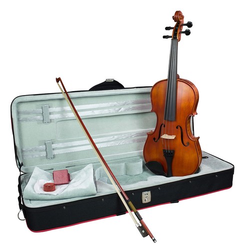 Hidersine vivente viola - hidersine, 15,5"