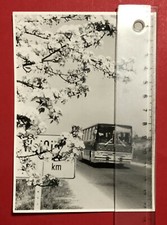 altes Foto Weissig bei Dresden