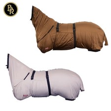 BR Ekzemerdecke Shetty Fohlen