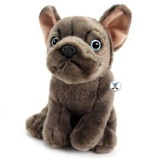 Französische Bulldogge TRUDY