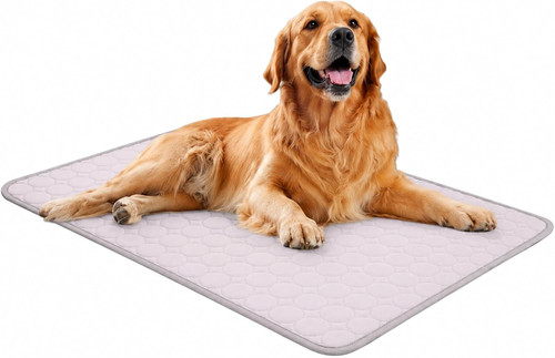 Kühlmatte für hunde - kühlmatte,