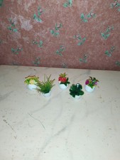 5 x Nostalgie Pflanze