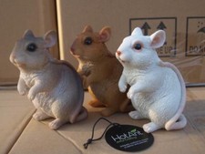 Maus mäuse nager verschiedene - maus,