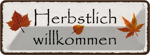 Blechschild 10x27 - , cm