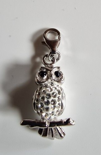 Charms anhänger 925ér silber - anhänger,
