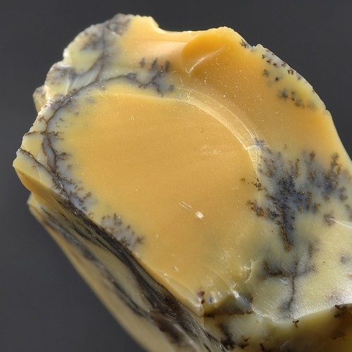Dendritenopal opal 5mm - opal, 35,5mm