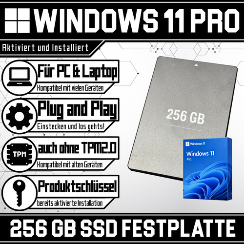 256gb sata ssd - 256gb,