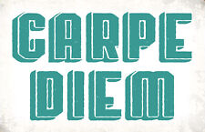 Holzschild 20x30 Carpe Diem