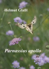 Parnassius apollo