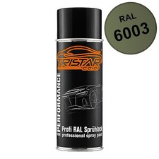 RAL 6003 Olivgrün Spraydose