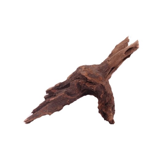 Driftwood flußwurzel - driftwood,
