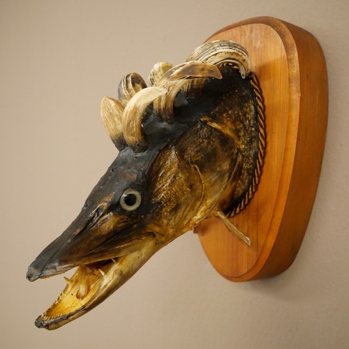 Fischwolpi wolpertinger hecht - fischwolpi,