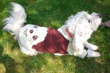 Hunde pullover design - l,