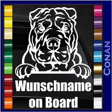 Shar Pei Weinrebenhund Auto