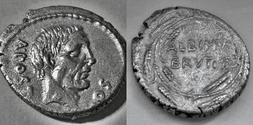 Brutus albinus denar - ,