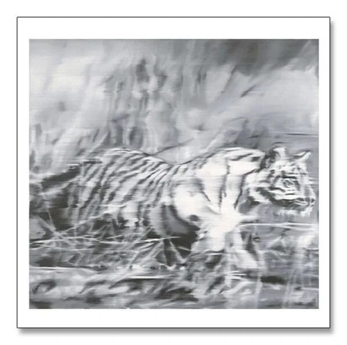 Gerhard richter tiger 1965 - richter, "