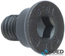 Original BMW Umbracoskrue