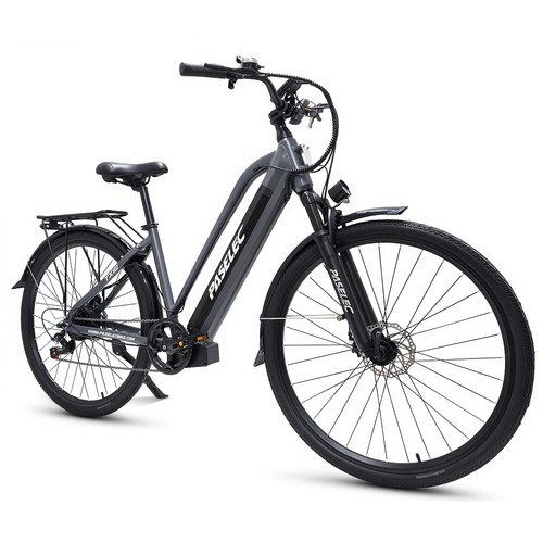 Paselec tx10 elektrofahrrad - tx10,