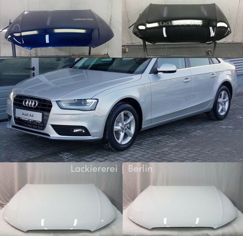 Motorhaube lackiert - motorhaube, in