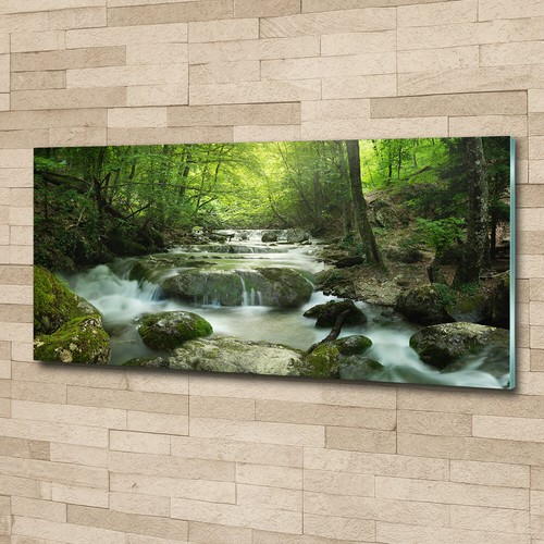Wandbild aus plexiglas - wandbild,
