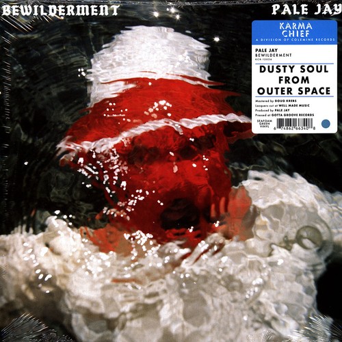 Pale jay bewilderment - pale,