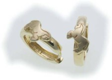 Children's earrings hinged