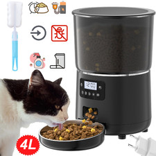 Trinkbrunnen Haustier