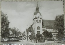 AK Leipzig 1962 Zoo Kongreßhalle Straßenbahn Verkehr DDR