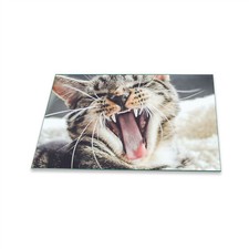 Herdabdeckplatte Ceran 1