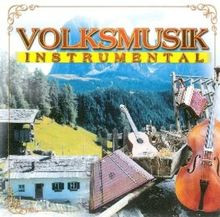 Volksmusik Instrumental von Divers | CD | Zustand sehr gut