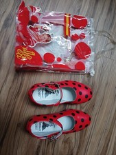 Schuhe und Kleid für Flamenco