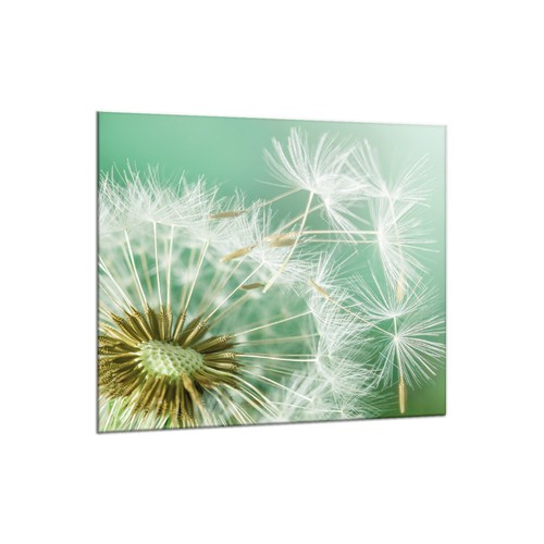 Küchenrückwand glas 65x60 - küchenrückwand,