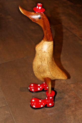 Ente mit hut - mit, und